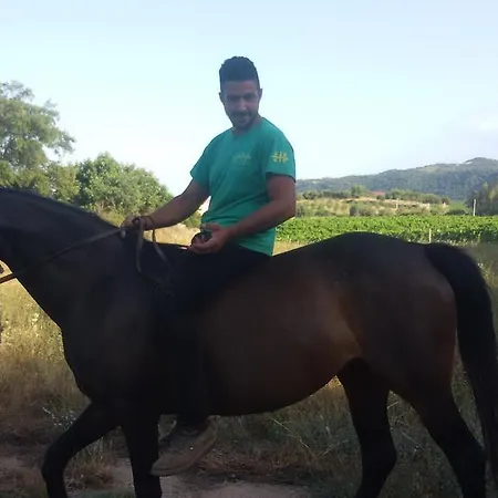 Su Solianu Alojamento de Turismo Rural Bari Sardo