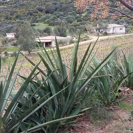 Su Solianu Farm stay Bari Sardo