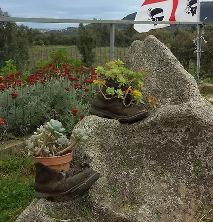 Farm stay Su Solianu