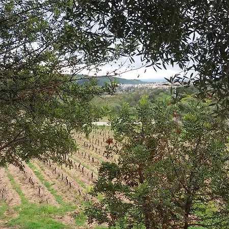 Su Solianu