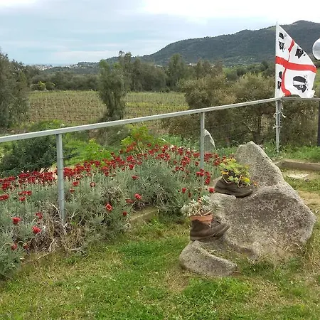 Farm stay Su Solianu *