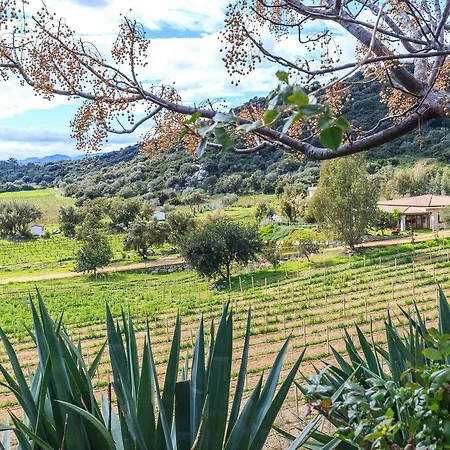 Su Solianu Farm stay