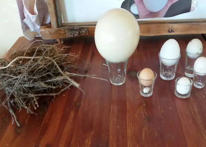 Фермерский дом Su Solianu Бари-Сардо